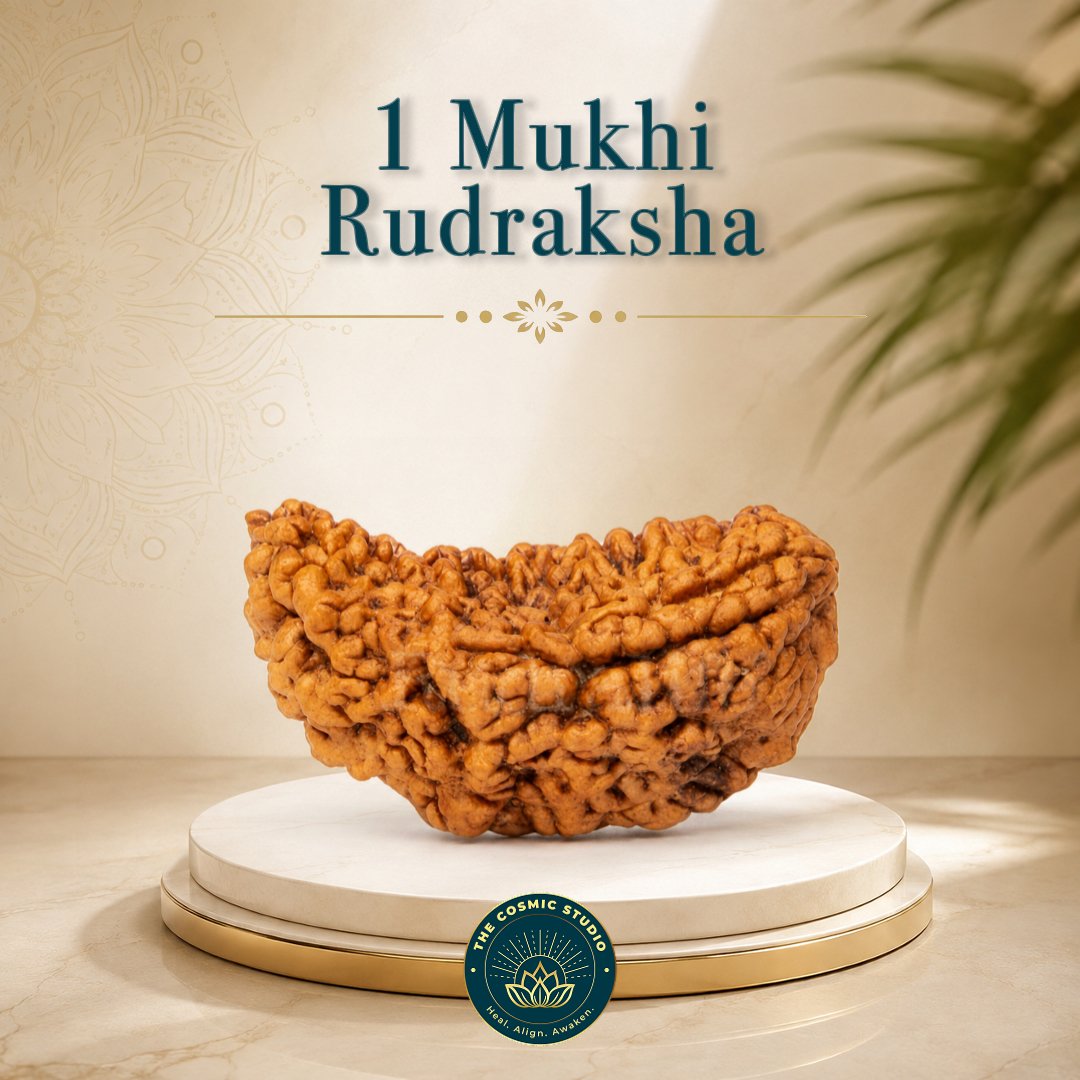 1 Mukhi Rudraksha