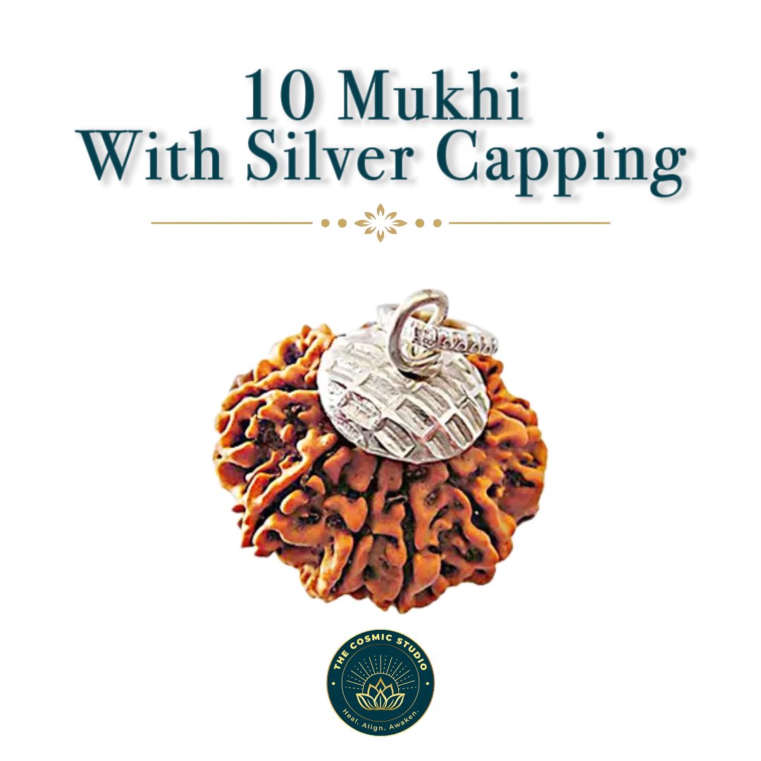 10 Mukhi Rudraksha preview