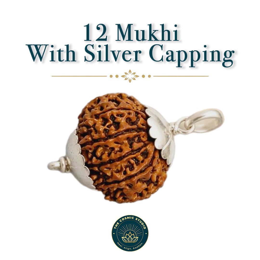 12 Mukhi Rudraksha preview