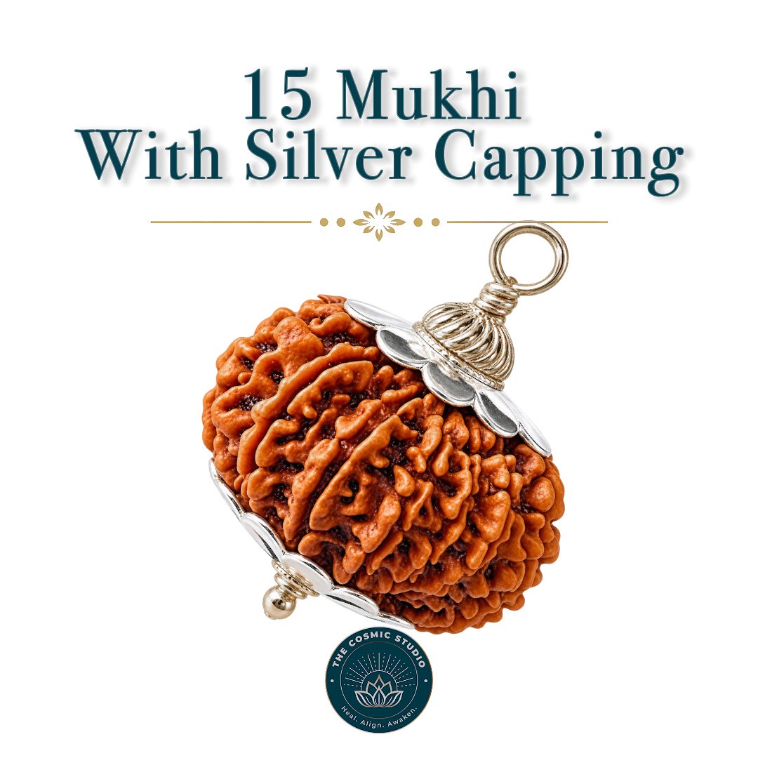 15 Mukhi Rudraksha preview
