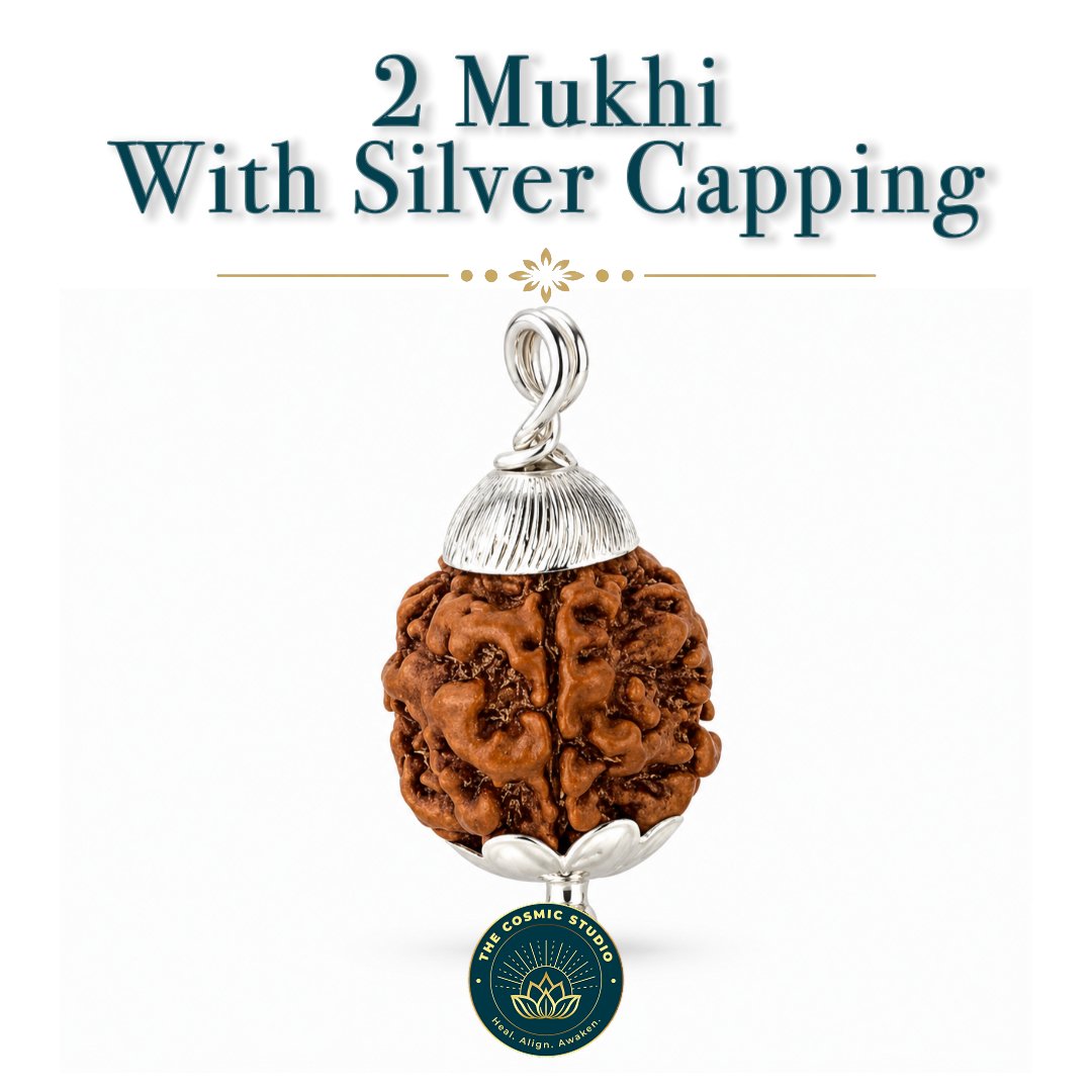3 Mukhi Rudraksha preview