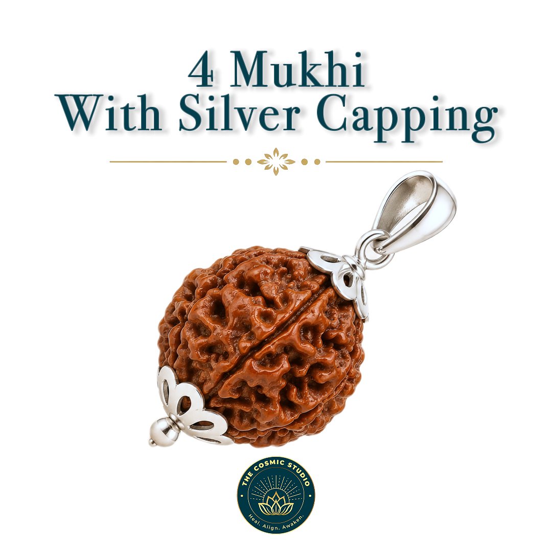4 Mukhi Rudraksha preview