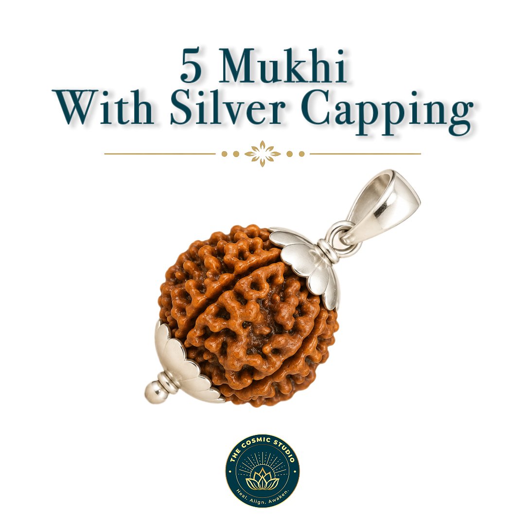 5 Mukhi Rudraksha preview