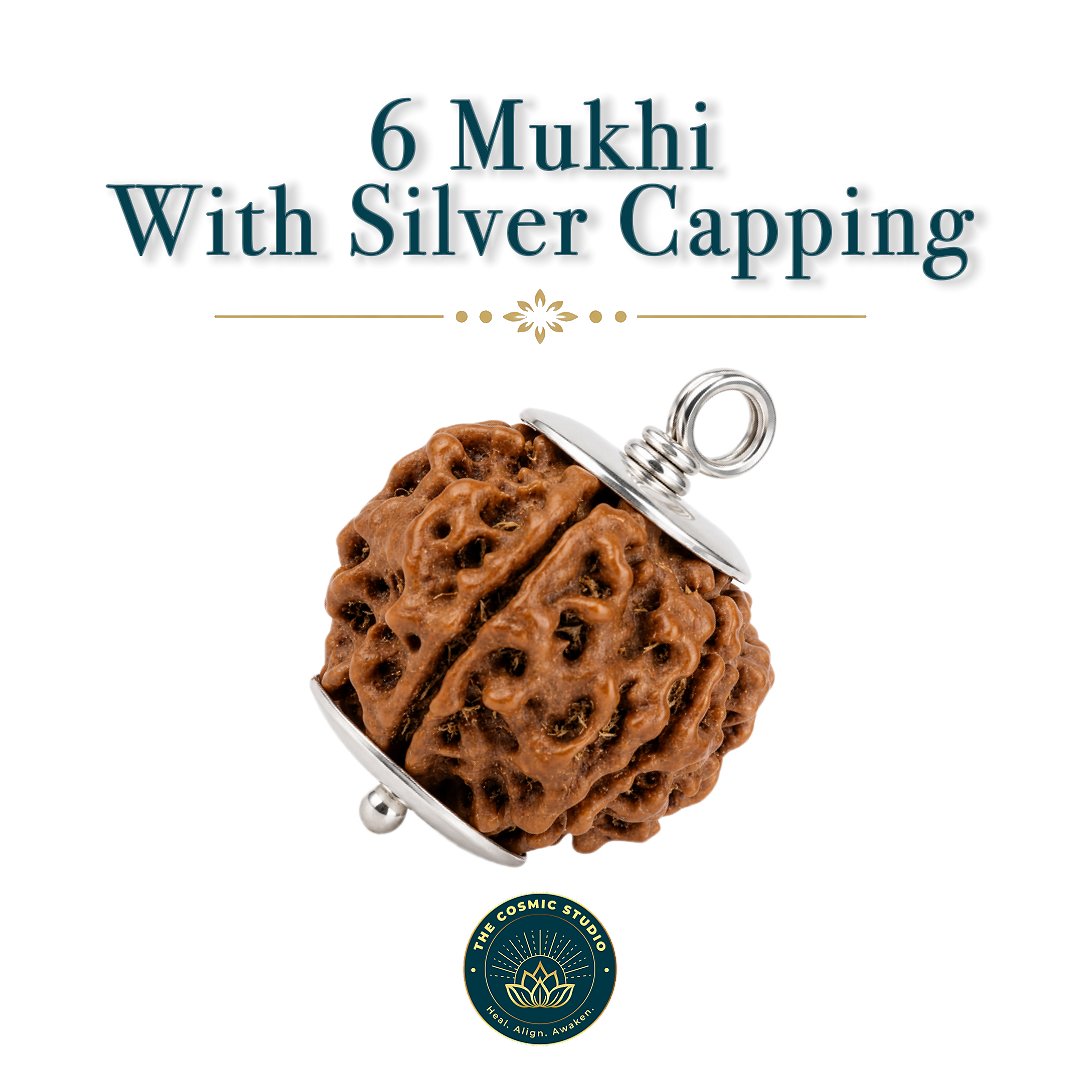 6 Mukhi Rudraksha preview