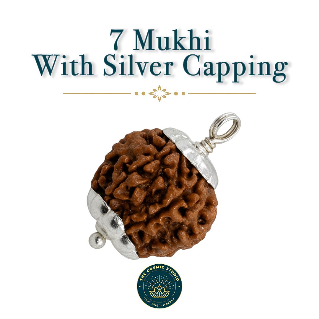 7 Mukhi Rudraksha preview