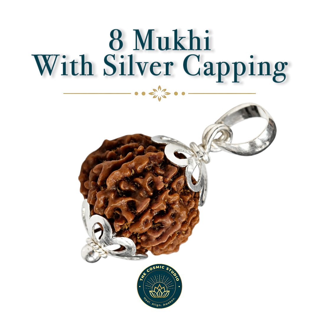 8 Mukhi Rudraksha preview