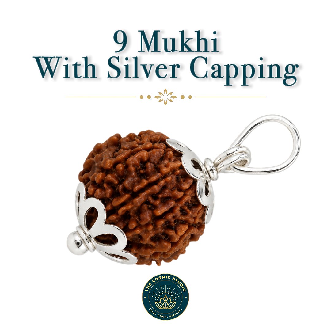 9 Mukhi Rudraksha preview